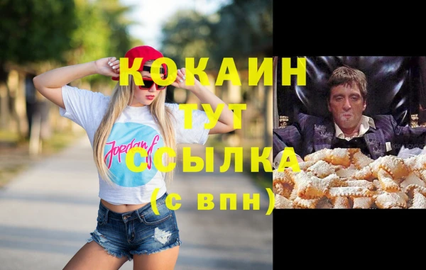 дживик Осташков