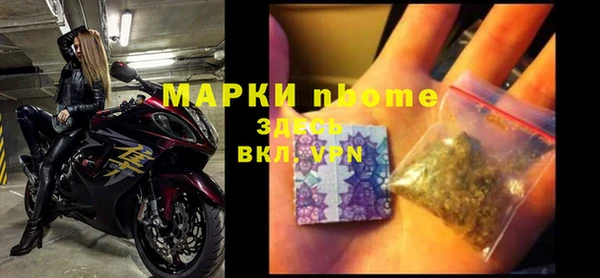 шишки Осинники